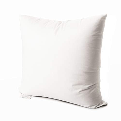 Luxury Throw Pillow Insert Soft Fluffy Down Alternative Polyester Square Form Sham Stuffer Cotton Cover for Sofa Couch Bed Car White 18x18
