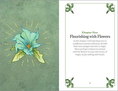 Green Witchcraft: A Practical Guide to Discovering the Magic of Plants, Herbs, Crystals, and Beyond