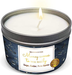 Magnificent 101 Affirmations Sage, Cedar, Palo Santo, sprinkle of sage leaves Smudge Candle for House Energy Cleansing, Banishes Negative Energy - Natural Soy Wax Tin Candle (MONEY COMES TO ME EASILY)