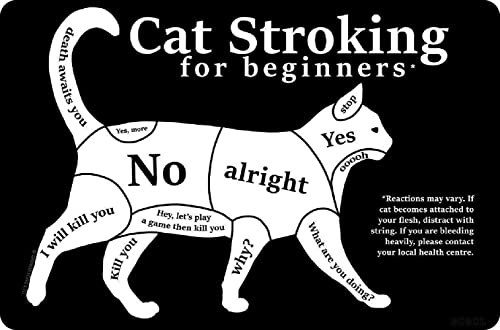 Black Cat | Cat Stroking for Beginners | Wall Decor 12"x8" Inch Metal Tin Sign | Vintage Art Poster Plaque Home Wall Decor