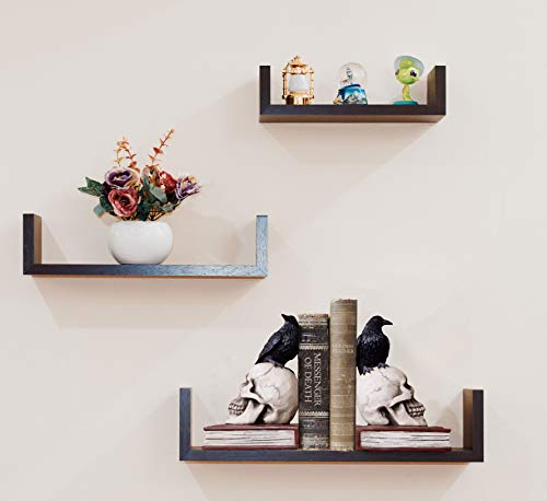 Ravens on Skulls Bookends Gothic