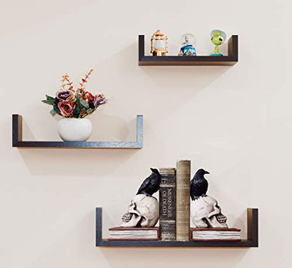 Ravens on Skulls Bookends Gothic