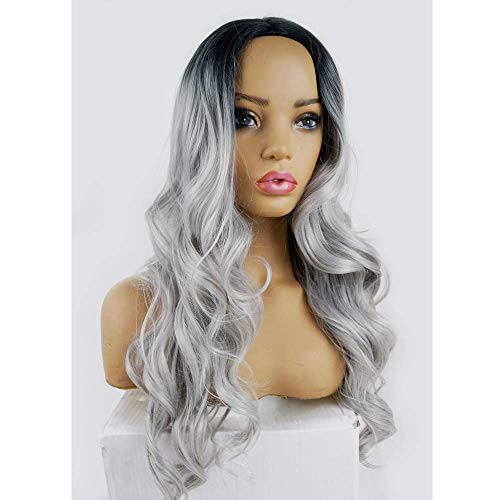 Ombre Gray Straight Middle Parting 28 "Wig