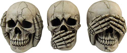 Macabre Halloween Gothic Home Décor Set of Three (3) See Hear Speak No Evil Realistic Mini Skull Figurines , 4.5-inch