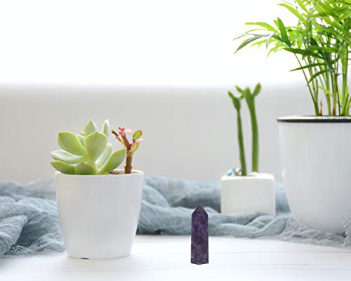 4 PCS 2" Amethyst Crystals and Healing Stones