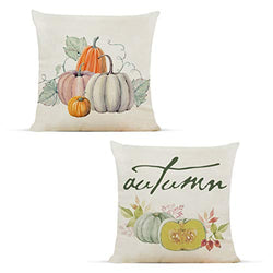 Fall Pumpkins Harvest Vintage Throw Pillow Covers