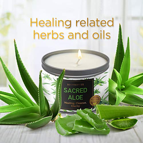 MAGNIFICENT 101 Sacred Plants Smudge Candle for House Energy Cleansing, Banish Negative Energy, Spiritual Purification and Chakra Healing - Natural Soy Wax Candle for Aromatherapy (Aloe)