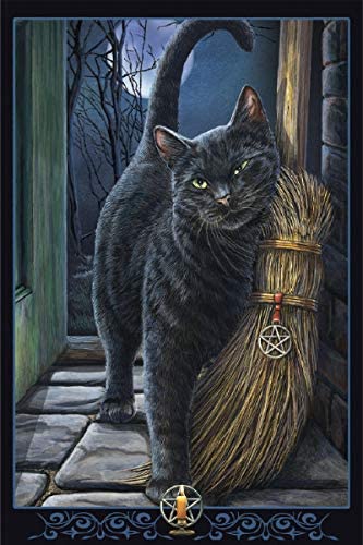 Magical Cats - 12x18 Decorative Poster Prints Set of 4