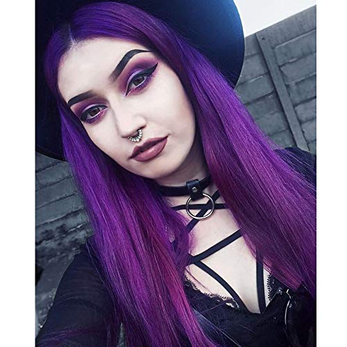 Dark Purple Straight Middle Parting 26 "Wig