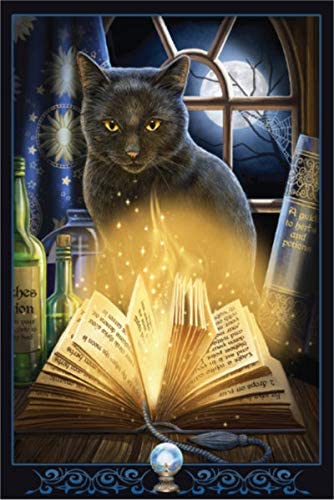 Magical Cats - 12x18 Decorative Poster Prints Set of 4