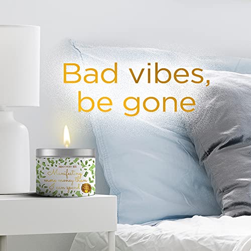 Magnificent 101 Manifesting More Money Than I Can Spend Tin Candle 6oz