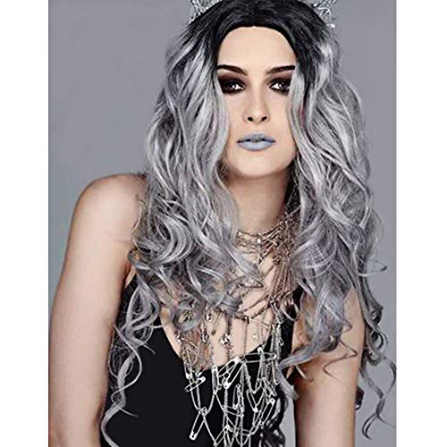 Ombre Gray Straight Middle Parting 28 "Wig