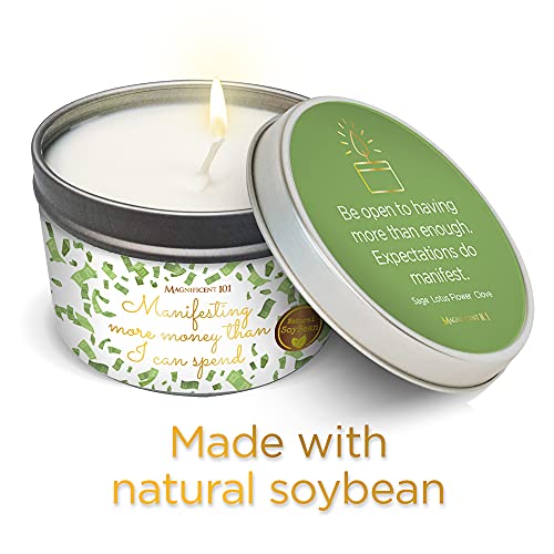 Magnificent 101 Manifesting More Money Than I Can Spend Tin Candle 6oz