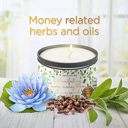 Magnificent 101 Manifesting More Money Than I Can Spend Tin Candle 6oz