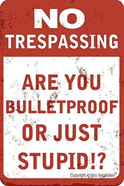 No Trespassing Are You Bulletproof Or Just Stupid!? Aluminum Sign for Home Decor 8x12 Inch