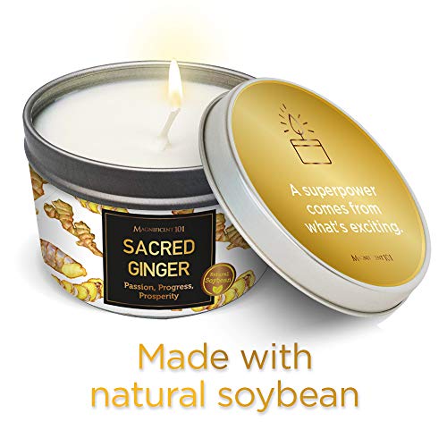 MAGNIFICENT 101 Sacred Plants Smudge Candle for House Energy Cleansing, Banish Negative Energy, Spiritual Purification and Chakra Healing - Natural Soy Wax Candle for Aromatherapy (Ginger)