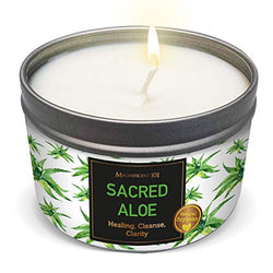 MAGNIFICENT 101 Sacred Plants Smudge Candle for House Energy Cleansing, Banish Negative Energy, Spiritual Purification and Chakra Healing - Natural Soy Wax Candle for Aromatherapy (Aloe)