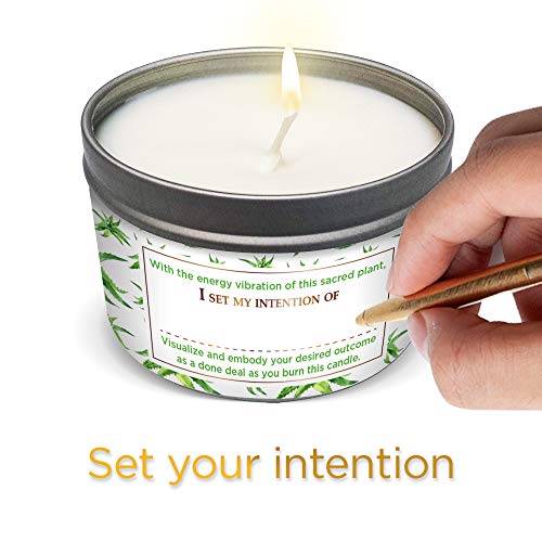 MAGNIFICENT 101 Sacred Plants Smudge Candle for House Energy Cleansing, Banish Negative Energy, Spiritual Purification and Chakra Healing - Natural Soy Wax Candle for Aromatherapy (Aloe)