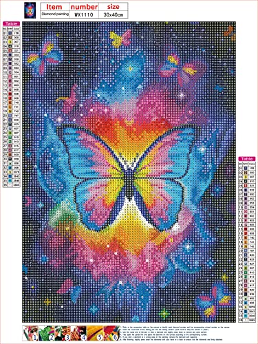 Rainbow Butterfly Starry Night Time Sky DIY 5D Diamond Painting  Cross Stitch Full Round Diamond Embroidery Kits Home Decor 12 x 16 Inch