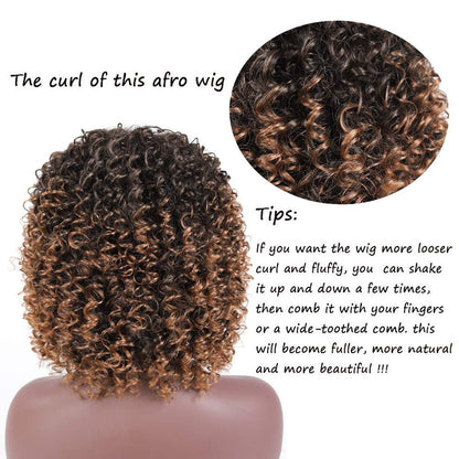 Ombre Brown Short Kinky Synthetic Afro Heat Resistant Full Curly Wig with Bangs | Wig Cap Included | Free Shipping Today