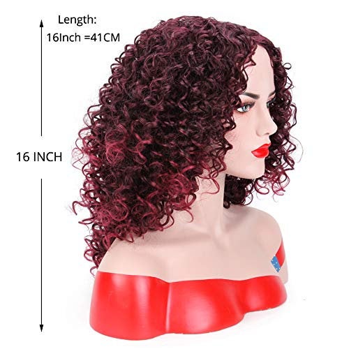 Kinky Curly Full Synthetic Heat Resistant Wig Choice of 3 Colors or Pick Up ALL THREE and SAVE!