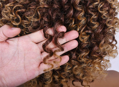Ombre Brown Short Kinky Synthetic Afro Heat Resistant Full Curly Wig with Bangs | Wig Cap Included | Free Shipping Today