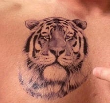 Large Tiger Lion Temporary Tattoo Fake Body Arm Shoulder Chest Stickers Large Fake Body Arm Chest Shoulder Tattoos 6 Designs to Choose From