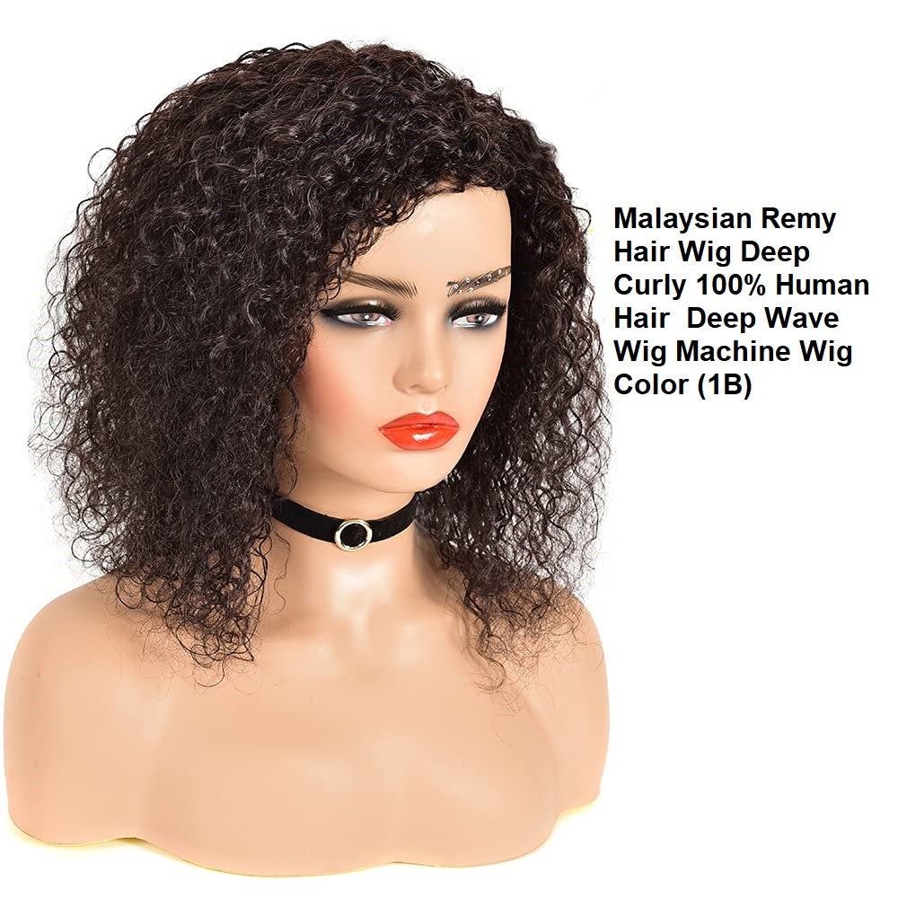 Natural Black Shoulder Length, Malaysian Remy Hair Deep Curl Wig, 100% Human Hair Wig, Daily Use Style as Your Own Hair, Natural Black #1B