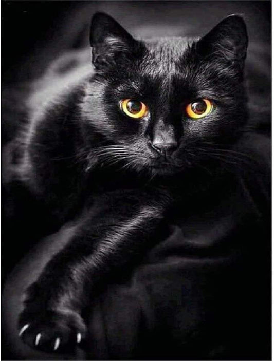 Black cat | 5d diamond diy art full drill embroidery painting kit | home wall art décor | 11.8x15.7in | the perfect relaxation gift idea