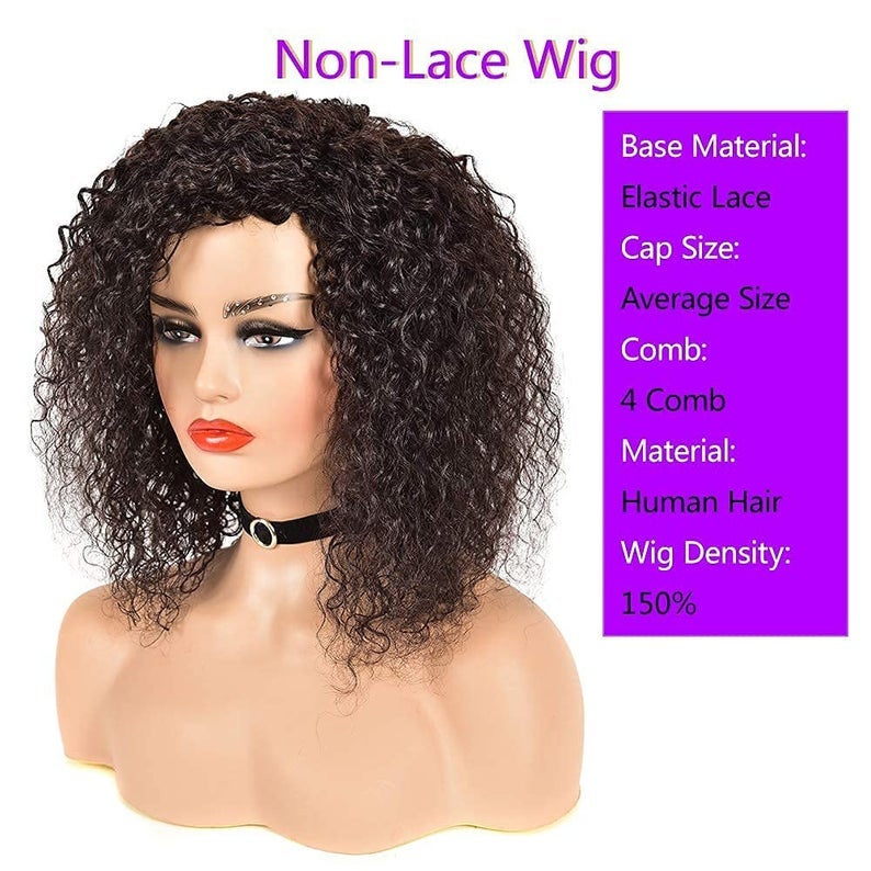 Natural Black Shoulder Length, Malaysian Remy Hair Deep Curl Wig, 100% Human Hair Wig, Daily Use Style as Your Own Hair, Natural Black #1B