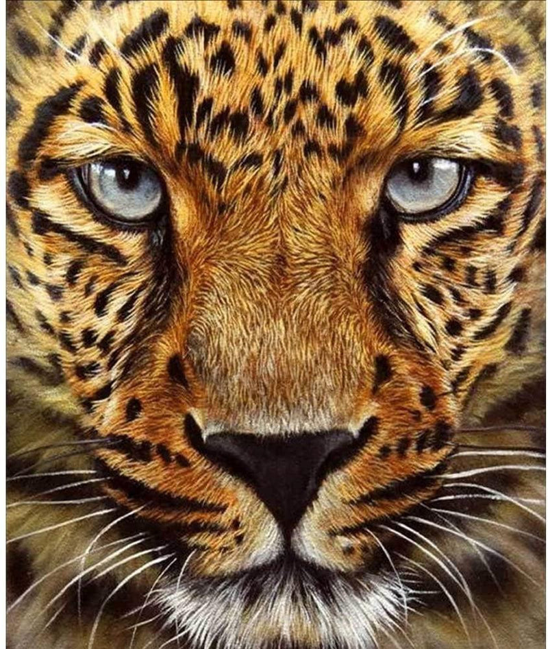 Leopard diy 5d diamond painting by number kit canvas 12x14"