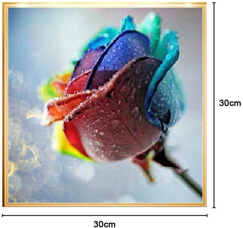 Colorful rainbow rose embroidery paint cross stitch craft diy 5d diamond painting by number kit canvas 11.8"x11.8"