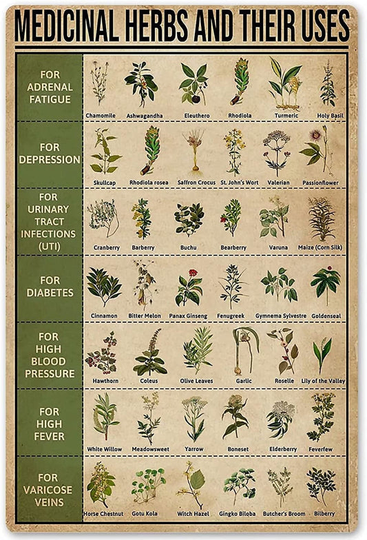 Medicinal Herbs and Their Uses Metal Sign | Vintage Rustic Styled House Decor | Witches Magic Knowledge | Kitchen Blessing | Kitchen Decor