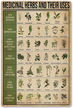 Medicinal Herbs and Their Uses Metal Sign | Vintage Rustic Styled House Decor | Witches Magic Knowledge | Kitchen Blessing | Kitchen Decor